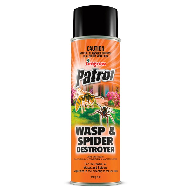 Amgrow Patrol Wasp And Spider Destroyer Aerosol 350g