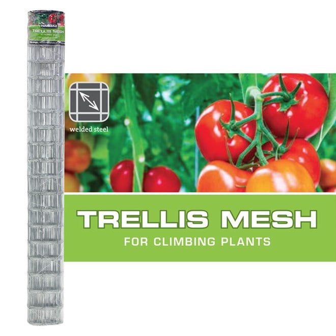 Trelish mesh for blog post.jpg